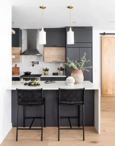 Contemporary kitchen with modern cabinets and appliances