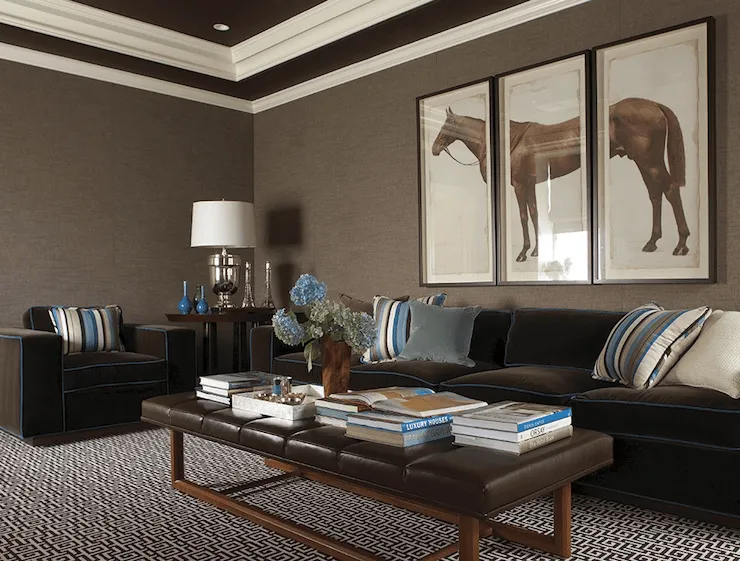 Dark brown formal living room BASEMENT PAINT COLOR